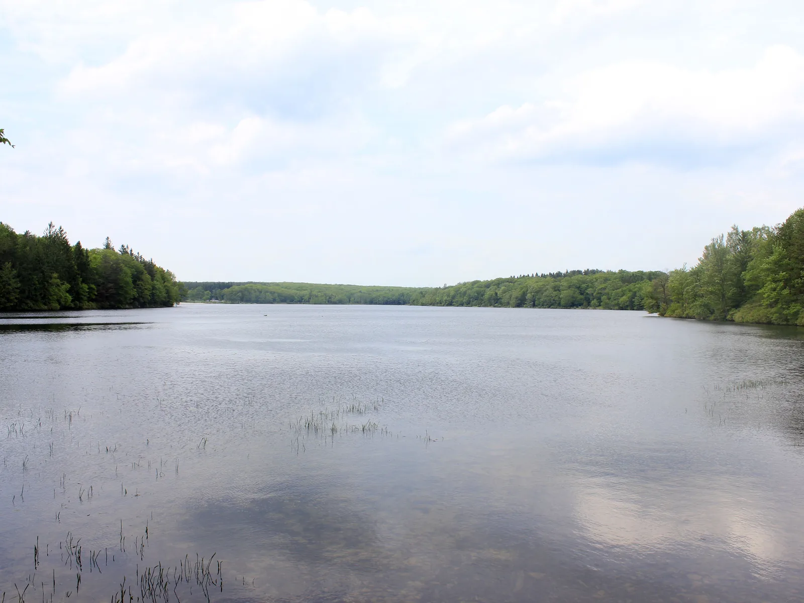 Forest-lined lake at Promised Land State Park on the plateau near Greentown, PA