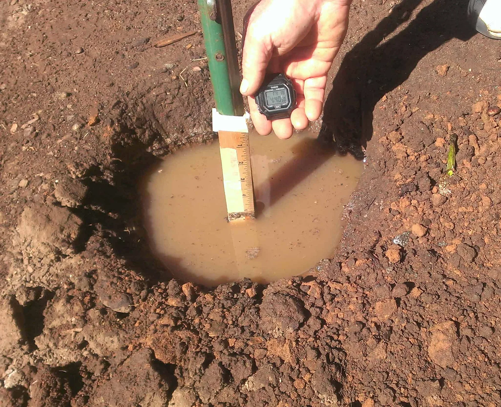 Hand holding a stopwatch over a water-filled percolation test hole with a wooden measuring ruler